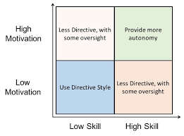 Directive Leadership 4 Situations When You Should Be Using It Thoughtfulleader Com