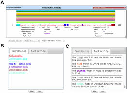 Cellular works diligently to keep customers connected. Sequence Display And Log Windows A The Sequence Window Shows The Download Scientific Diagram