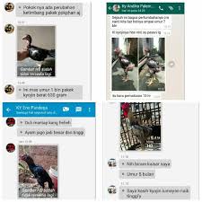 Pengusir racun sampai pencegah kanker! Jual Pakan Ayam Raksasa Kyojin Di Lapak Asniar Bukalapak