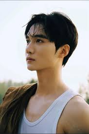 Wang Peiyan Drama China