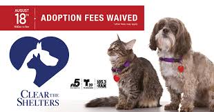 Trained therapy dogs at dallas's dallas/fort worth airport are hoping to help ease some of the stress of flying! Find Your Perfect Pet During Clear The Shelters Event