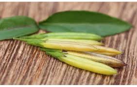 Image result for Swertia