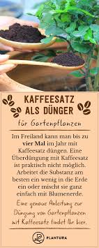 Kaffeesatz Als Dunger Verwendung Vorteile Plantura Kaffeesatz Kaffeesatz Fur Pflanzen Gartenpflanzen