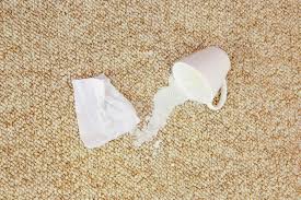Zunächst wird der teppich mit einem tuch oder einem stück küchenpapier abgetupft, um so viel von der flüssigkeit aufzunehmen, wie möglich. Schale Milch Fiel Auf Teppich Fleck Ist Auf Boden Stockfoto Bild Von Feiertag Unordentlich 146154690
