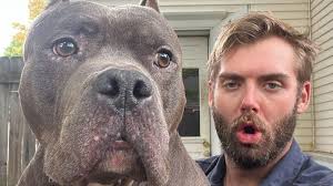 Fundraiser for David Borchardt by Katrina Kapellusch : Assist David in His  Time of Grief and Recovery