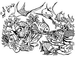 Dolphin coloring pages coral reef fish dolphin coloring pagesfull from coral reef coloring pages. Coral 163066 Nature Printable Coloring Pages