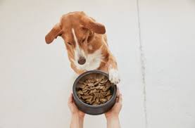 Midwestern pet foods announced a recall that affects 10 of the pet food brands it produces at its monmouth, il, production facility over fears the foods could be. Salmonella And Listeria Found In Performance Dog Raw Pet Food