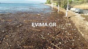 Προγνώσεις καιρού για όλη την ελλάδα. Eyboia Paralies Sthn Eretria Moiazoyn Me Boyrkoys Gemisan Ferta Ylika Fwto