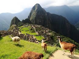 Последние твиты от peru (@peru). 12 Interesting Facts About Peru Worldstrides