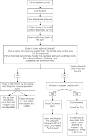 Image result for Burn Management