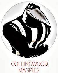 Collingwood magpies full afl playing list and stats. 38 Collingwood Ideas Collingwood Collingwood Football Club Afl