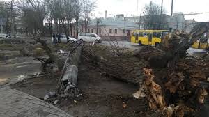Во львове сегодня ожидается +26.+33 °c, без осадков, легкий ветер. Vo Lvove Veter Snes Kryshu Doma Derevo I Oporu Osvesheniya Bez Tabu
