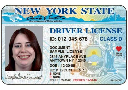 Evolution of the New York Driver's License - Graphic - NYTimes.com
