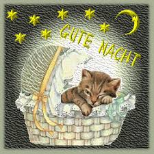 Https Encrypted Tbn0 Gstatic Com Images Q Tbn And9gctz4g7qhhknliw4kisulvp8oxzzkkkbniowia Usqp Cau