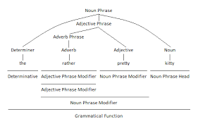 Noun phrases can refer to a particular example of something or to a whole class of people or things. Using Nouns And Pronouns As Noun Phrase Heads Parenting Patch