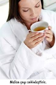 Limon Melisa, Oğulotu, Acem Otu, Nane Balsamı, Lemon Balm, Melissa  Officinalis, 20 G Kullanıcı Yorumları ve Değerlendirmeleri