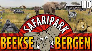 2,523 likes · 19 talking about this · 4,089 were here. Beekse Bergen Safaripark Grootste Dierenpark Van De Benelux Park Video 2016 Hd Youtube