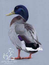 How to post Pastel Artwork