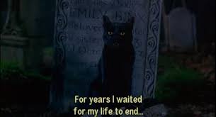 Found On Google From Moviepilot Com Thackery Binx Bad Cats Hocus Pocus