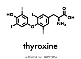 Image result for Thyroxine