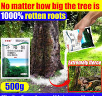 1000% rotten roots tree killer racun pokok paling kuat The roots rotted in  1 day No damage to soil racun rumput paling kuat cepat mati racun pokok ...