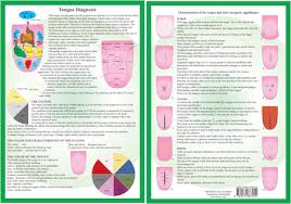 Tongue Diagnosis A4 Chart