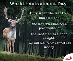 Only When The Last Tree Has Died The Last River Has Been Poisoned And The Last Fish Has Been Caught We Will R World Environment Day Environment Day World Days