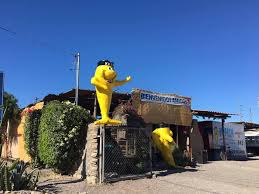 Check spelling or type a new query. Mr Fish Tacos De Pescado Photos La Paz Baja California Sur Menu Prices Restaurant Reviews Facebook
