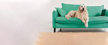 She enjoys all aspects of veterinary medicine, and says that she works often in eye care at home, dr. B Braun Vet Care