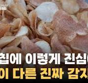 감자칩에 인생 건 사람들🥔 차원이 다른 수제 감자칩의 비밀ㅣ#극한직업