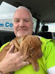 Tegan Bensley-Collins visits Paws & Relax