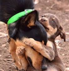 Design and order custom printed marketing materials, signage, and promotional products directly from your office. Clara Jennings Clara Jennings Profile Pinterest