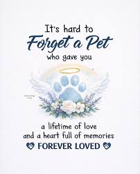Missing a beloved pet forever