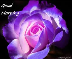 Good Morning Wishes With Flowers Pictures Images Page 6 Download all photos and use them even for commercial projects. good morning wishes with flowers