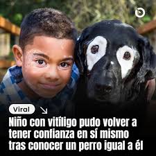 ÚLTIMA HORA INTERNACIONAL