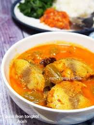 Aceh terkenal dengan dua rasa masakan yang dominan, yakni asam dan pedas. Resepi Gulai Ikan Patin Bumbu Padang Pawtaste Com