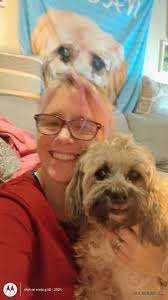 MISSING ~ BLACK PUP NEAR SOUTH FIRST AND WILLOW