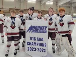 Team Illinois Aaa Hockey | Facebook