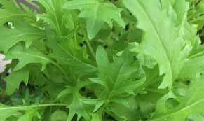 Why some foods 'taste too good' to stop eating. How To Grow Arugula Jarjeer In Your Home Garden Sowegrow