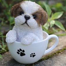 We did not find results for: Hi Line Gift Ltd Teacup Shih Tzu Puppy Statue Reviews Wayfair