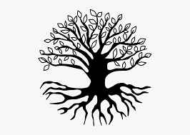 Discover our huge online selection of plants. Tree With Deep Roots Png Clip Art Yoga Tree Pose Drawing Transparent Png Transparent Png Image Pngitem