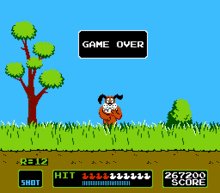 Is an arcade game developed by nintendo and released on july 14, 1983.it was also released on the nes under the arcade classics series series of games (a version itself later ported to other systems), atari 2600, atari 5200, and atari 7800 as well as a large multitude of home computer systems. Dog Duck Hunt Wikipedia