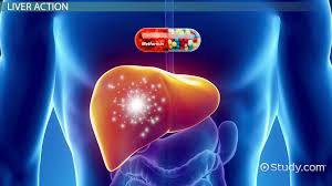 Image result for Metformin