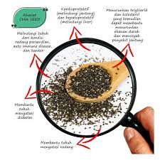 Chia seed terkenal mengandungi pelbagai khasiat untuk kesihatan dan semakin popular sebagai makanan organik di malaysia. Chia Seed Madu Garam Himalaya Paket Superfood Kecil Kemasan Botol Eksklusif Shopee Indonesia