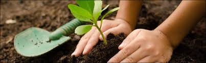 The nature conservancy's scientists are solving some of conservation's biggest challenges: World Nature Conservation Day Workshop Activities For Kids Holistique Learning