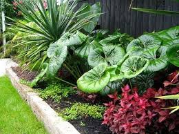Awesome Tropical Garden Landscaping Ideas 01 Tropical Garden Design Small Tropical Gardens Tropical Landscaping