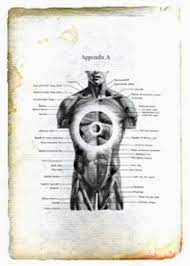Appendix A Viaje En El Tiempo Donnie Darko Libros