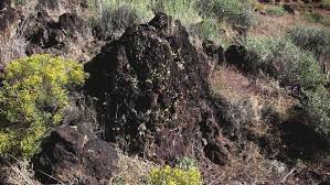 Image result for images Basalt Rocks