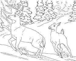 They develop imagination, teach a kid to be accurate and attentive. Online Coloring Pages Coloring Page Deer Run Away From A Predator Animals Download Print Coloring Page