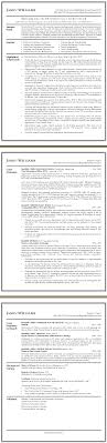 technology executive resume sample